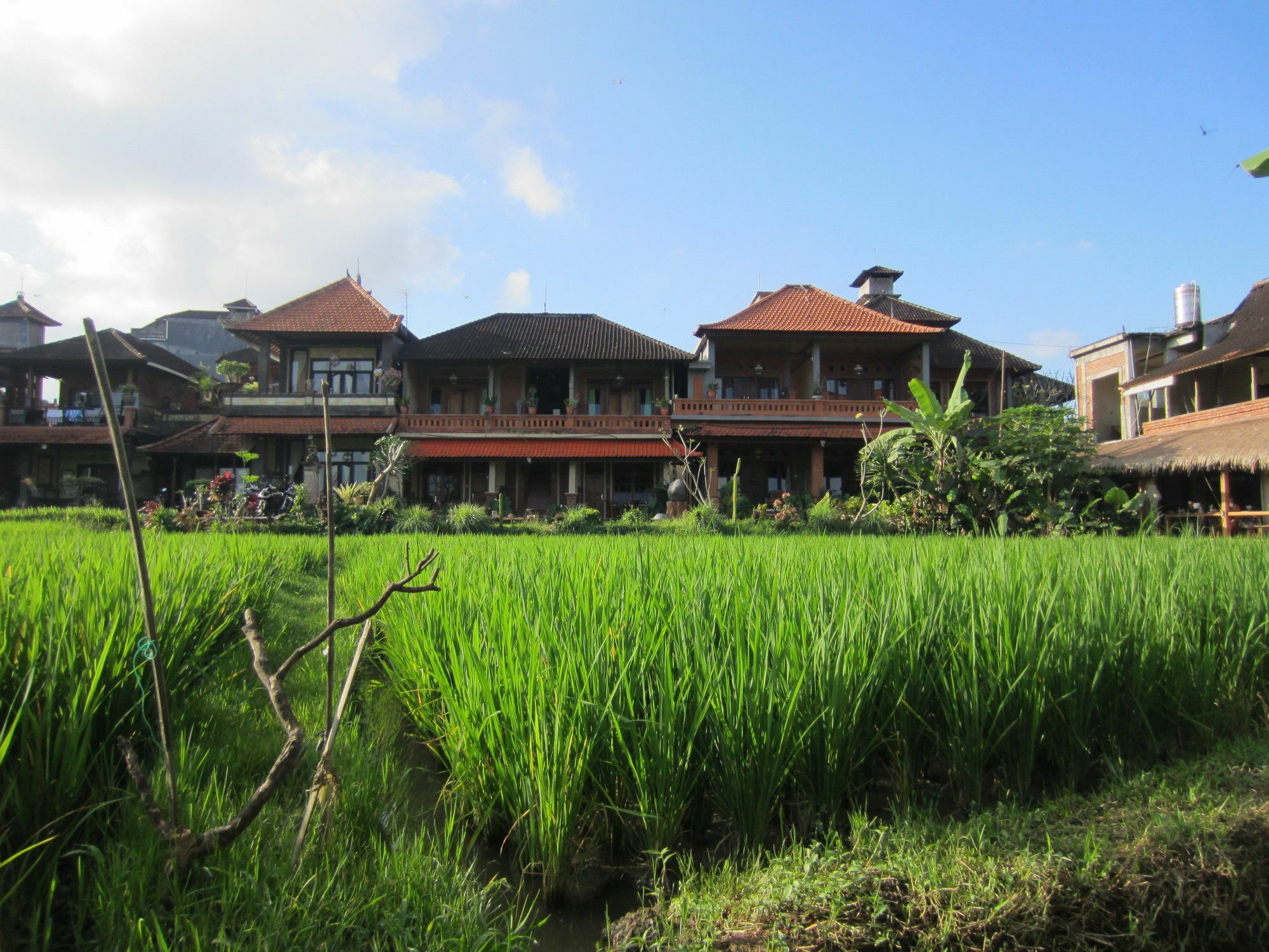 Danasari Homestay อูบุด ภายนอก รูปภาพ